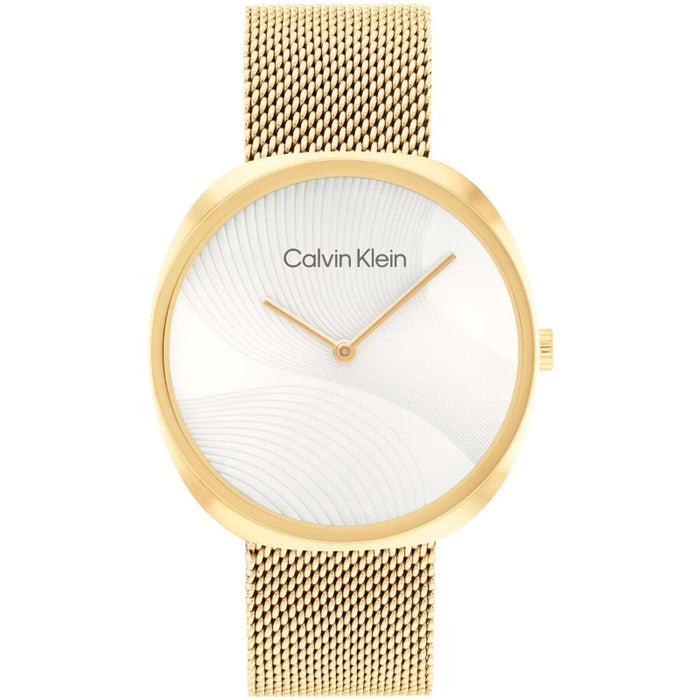 Ceas Bărbați Calvin Klein 1685215