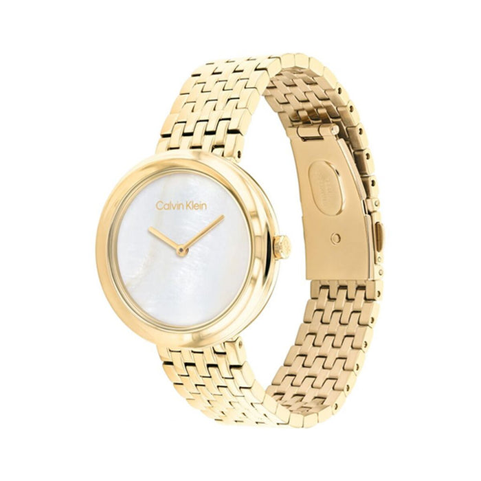 Ceas Bărbați Calvin Klein 25200321