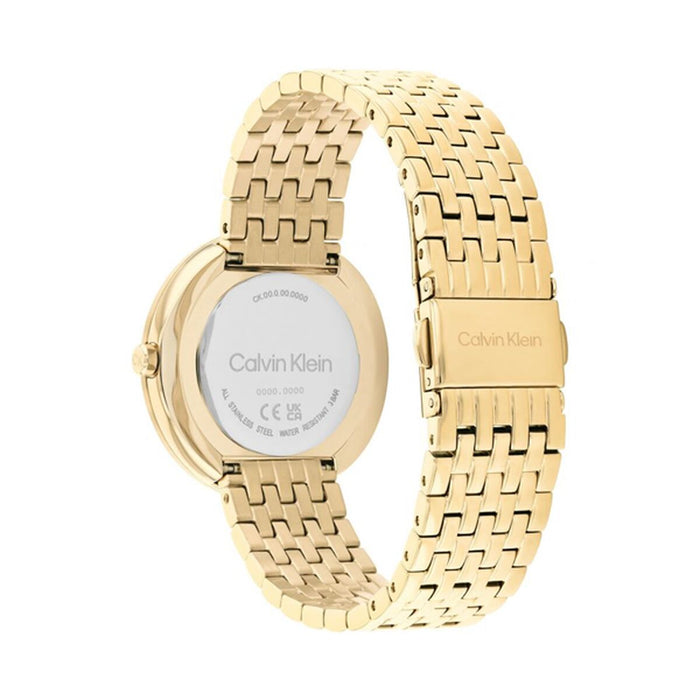 Ceas Bărbați Calvin Klein 25200321
