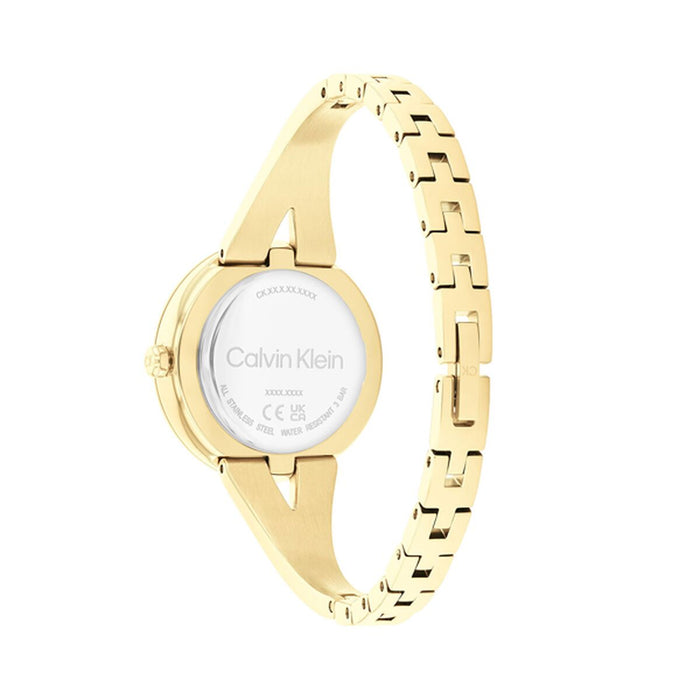 Ceas Damă Calvin Klein 25100027