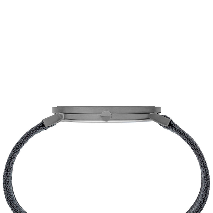 Ceas Bărbați Pierre Cardin CBV-1034