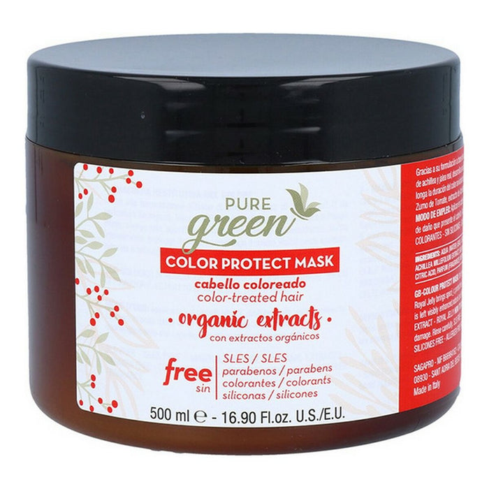 Mască Capilară Color Protect Pure Green Green Color (500 ml)