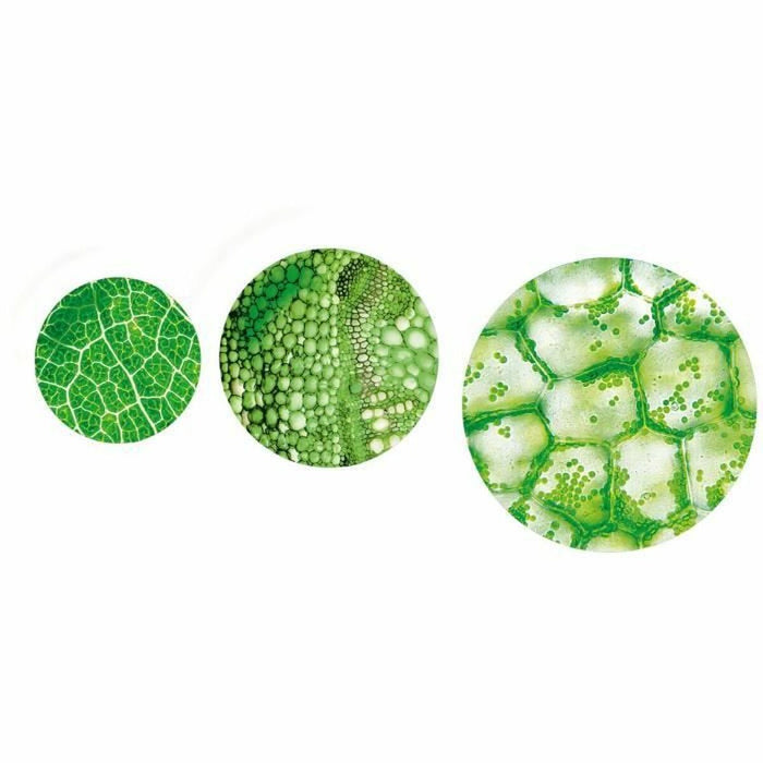 Joc de știință Baby Born Microscope & Expériences