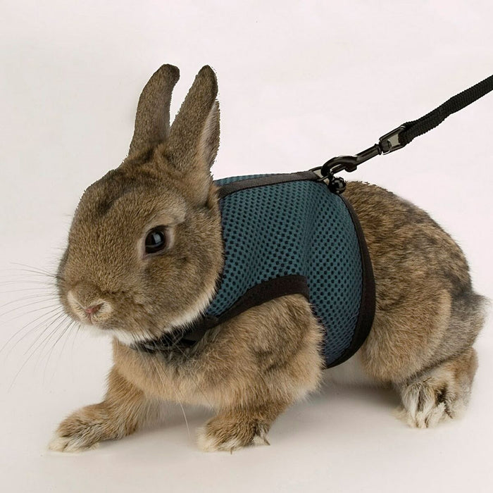Ham New Comers Ferplast Jogging Large