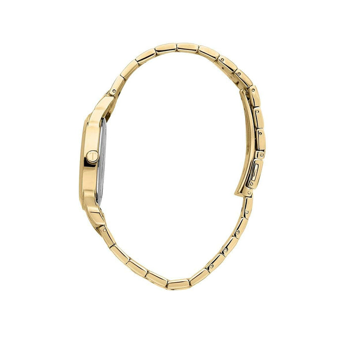 Ceas Bărbați Trussardi R2453141505 Verde