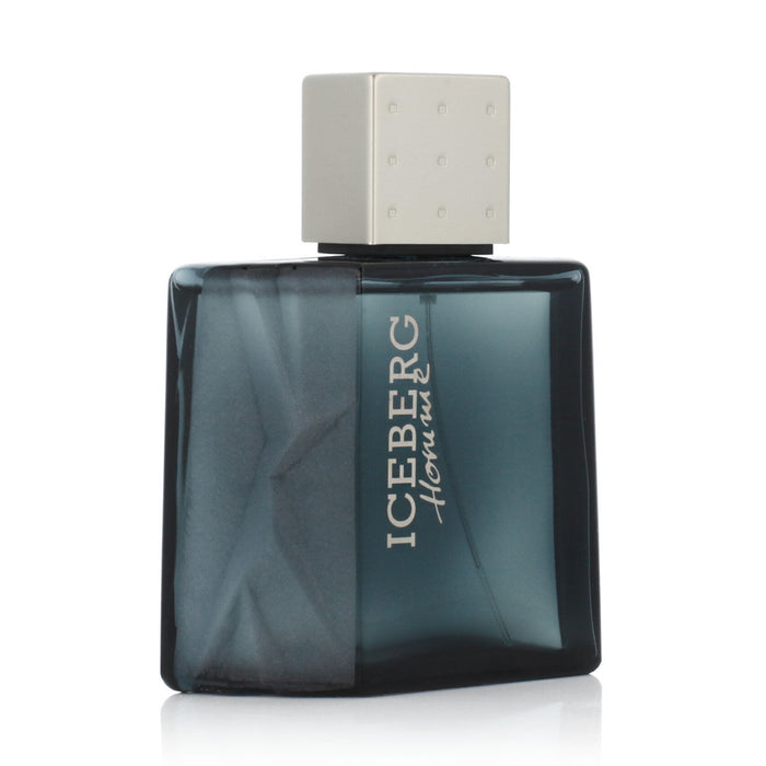 Parfum Bărbați Iceberg EDT Homme (100 ml)