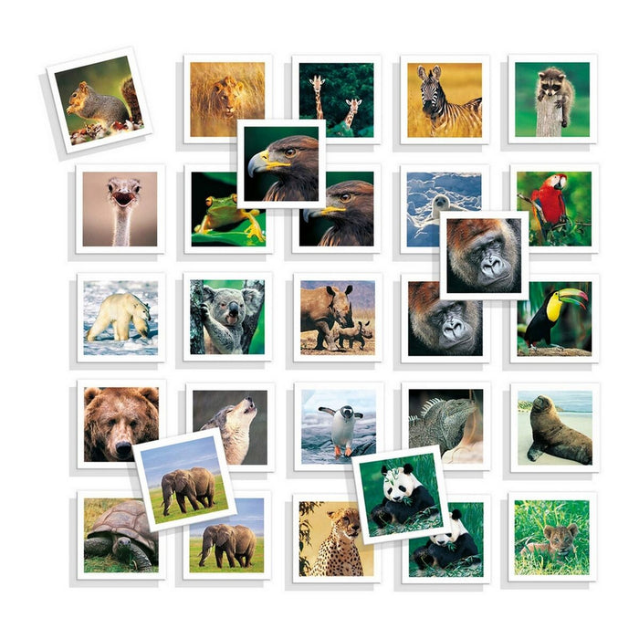 Joc Educativ Diset Memo Photo Animales 54 Piese