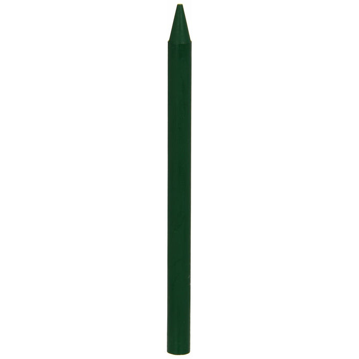 Creioane ceară colorate Plastidecor 8169761 Verde 25 Piese (25 Piese)