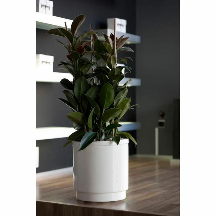 Ghiveci cu auto-udare Plastiken   Alb Ø 48 cm