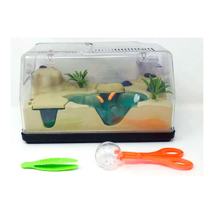 Joc Educativ Insecticefa Plus Cefatoys (ES)