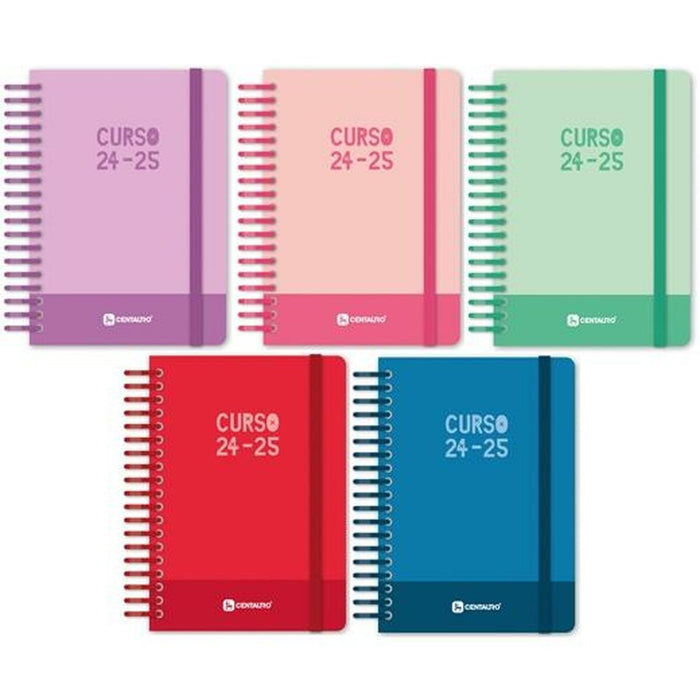 Agendă Grafoplas Multicolor A6 2024-2025 5 Unități