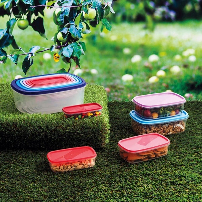 Set de Cutii pentru Prânz Quid Habitat (7 pcs) Plastic