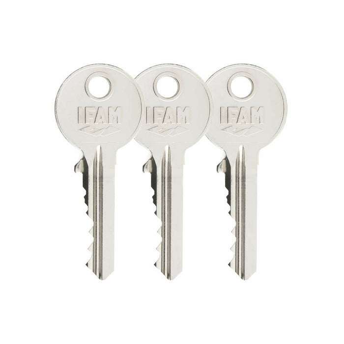Încuietoare de siguranță IFAM B5/50 Alamă Suprapune Maro Oțel 110 mm