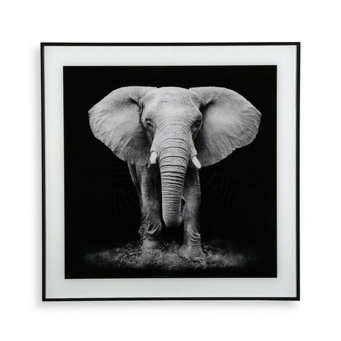 Tablou Versa (2 x 50 x 50 cm)