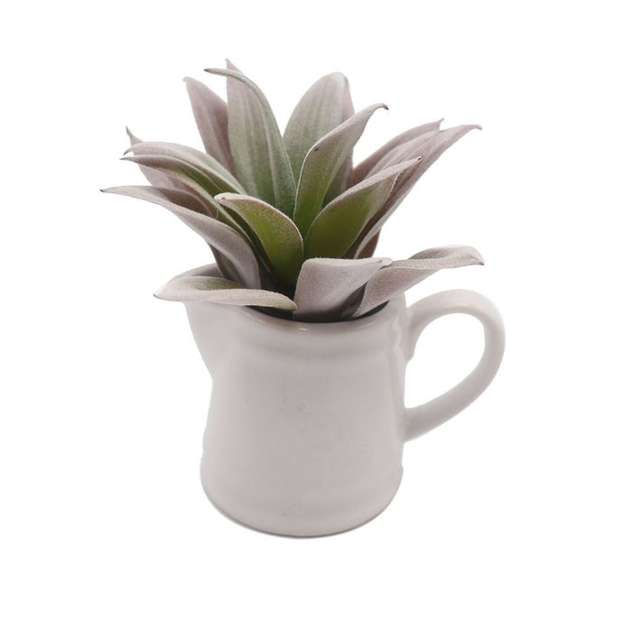 Plantă decorativă Versa Ceramică Plastic 11,43 x 11,94 x 11,43 cm