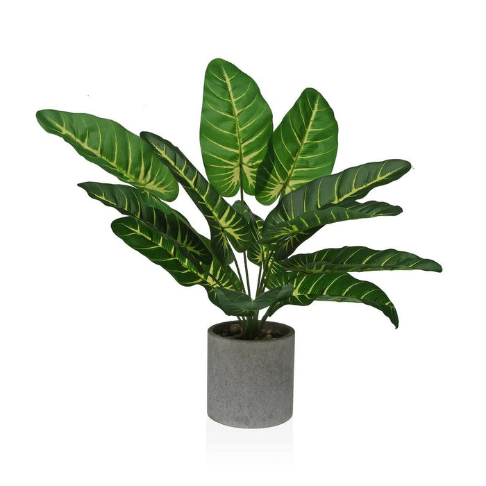 Plantă decorativă Versa 15 x 43 x 15 cm Hârtie Plastic
