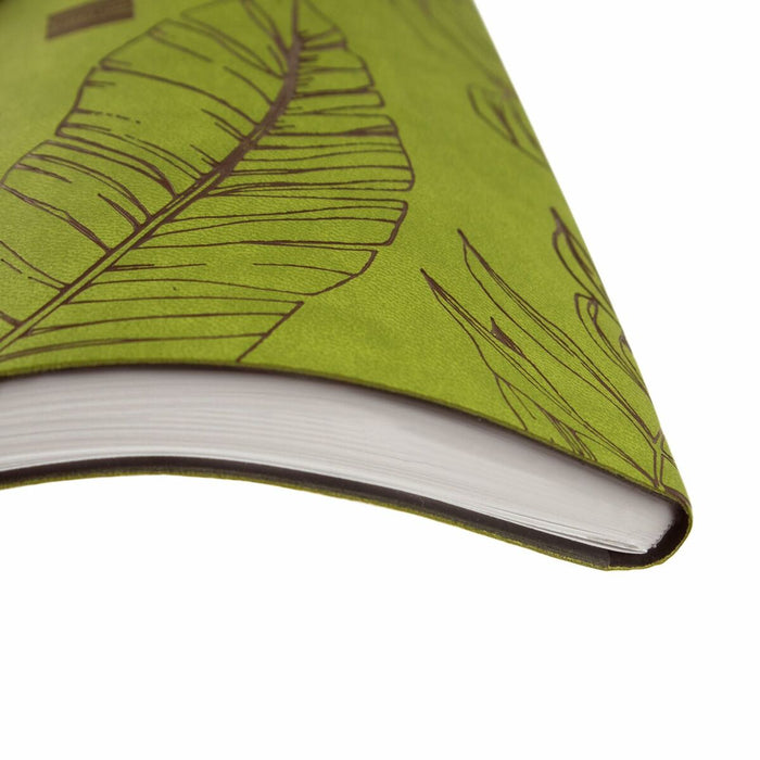 Agendă Finocam Dynamic Casual 2024 Frunza a unei plante Multicolor A5 14 x 20,4 cm