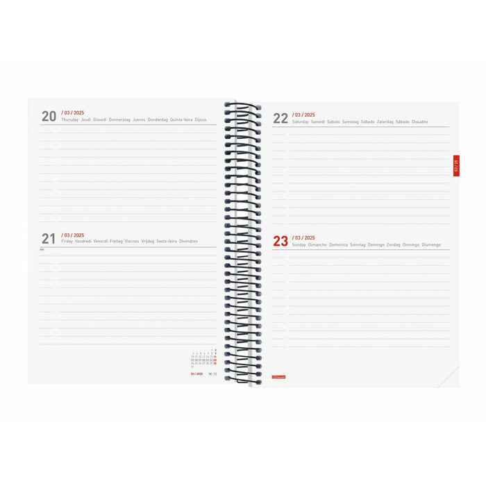 Agendă Finocam Negru A5 15,5 x 21,2 cm 2024-2025