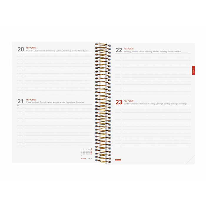 Agendă Finocam Daisy Multicolor A5 15,5 x 21,2 cm 2024-2025