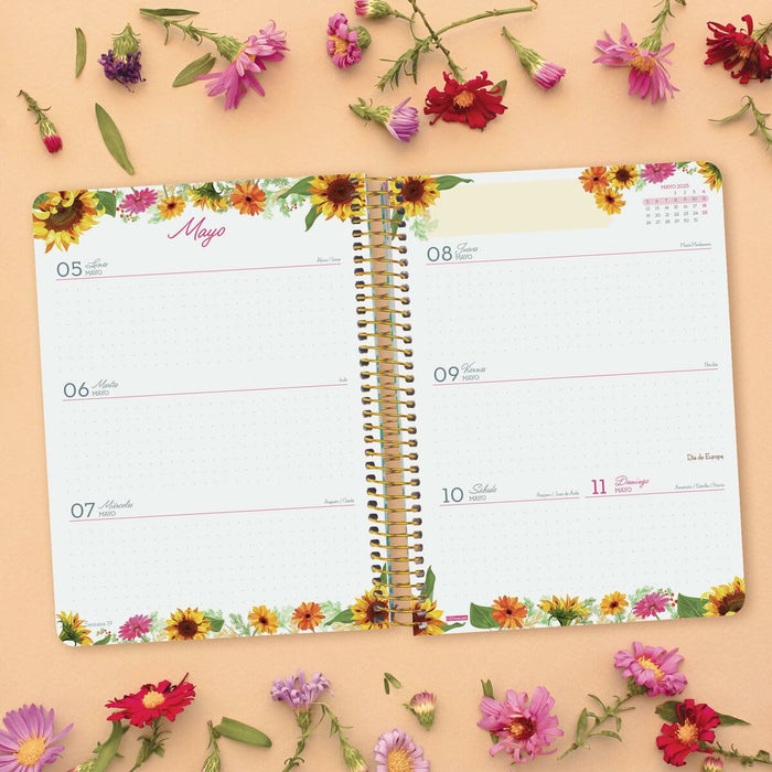 Agendă Finocam Cloe Negru A5 2024-2025