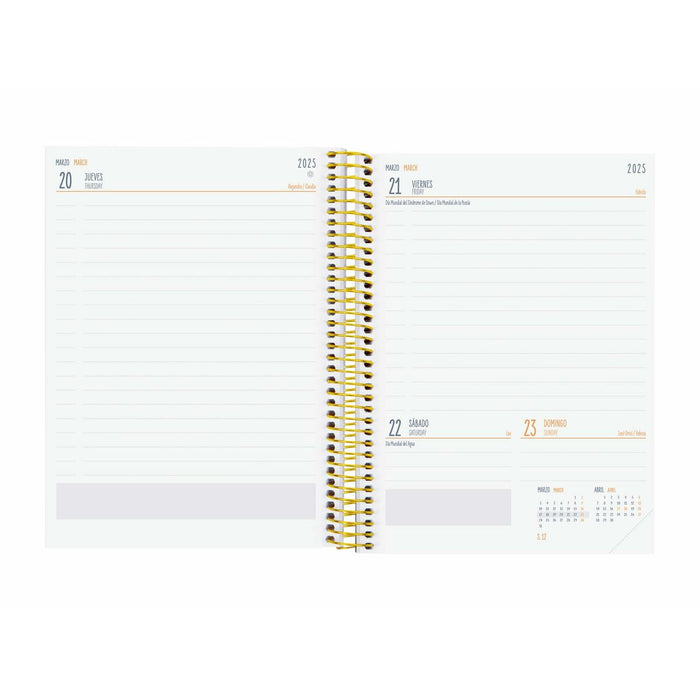 Agendă Finocam Multicolor Sfert 15,5 x 21,2 cm 2024-2025