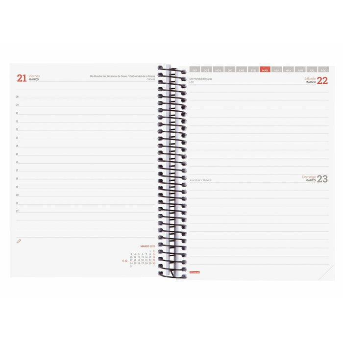 Agendă Finocam Albastru Cobalt 15,5 x 21,2 cm 2024-2025