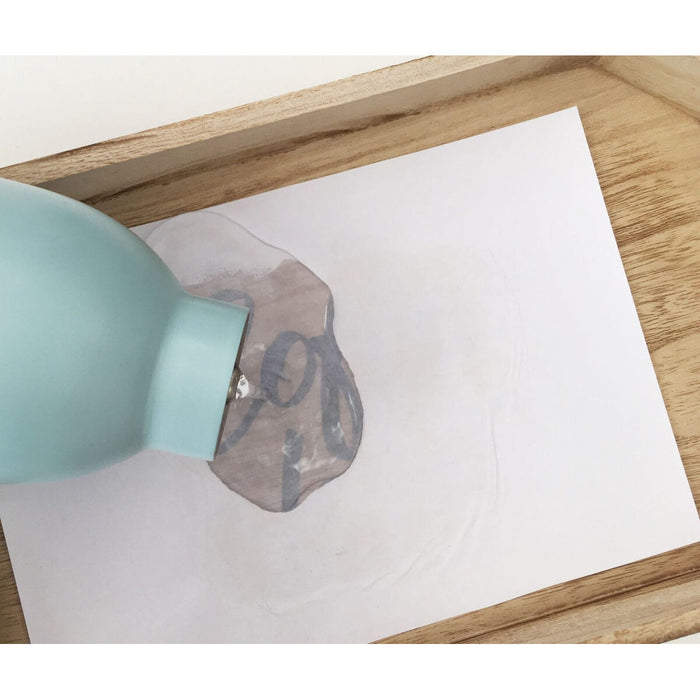 Lac La Pajarita Auxiliares