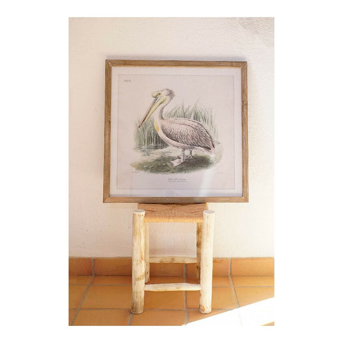 Tablou DKD Home Decor Pelican Pasăre 60 x 2 x 60 cm (2 Unități)