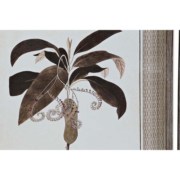 Tablou DKD Home Decor 55 x 2,5 x 70 cm Modern Plante botanice (6 Piese)