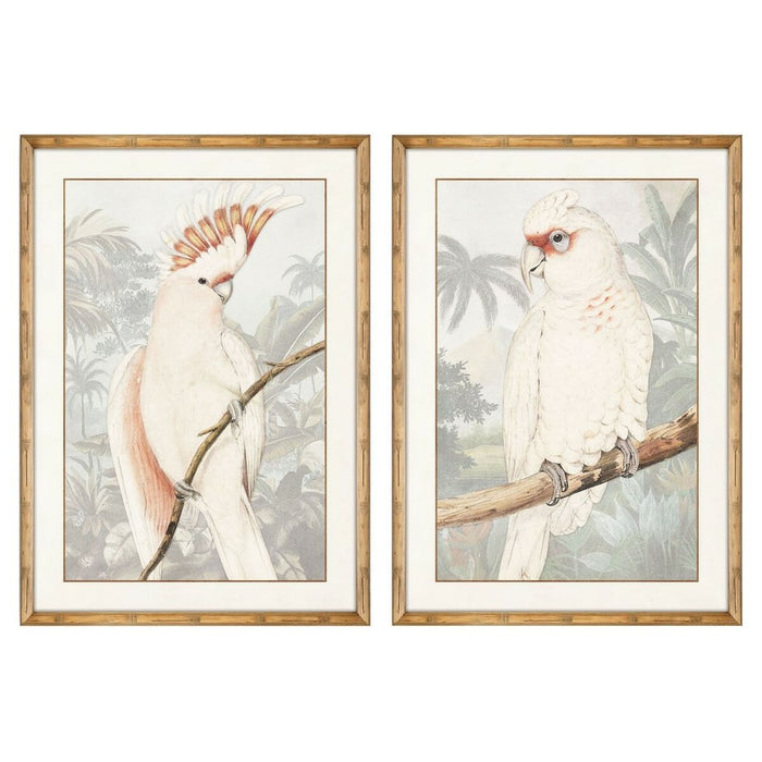 Tablou DKD Home Decor Papagal Tropical 50 x 3 x 70 cm (2 Unități)