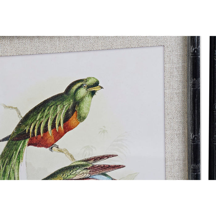 Tablou DKD Home Decor 50 x 2 x 60 cm Păsări Modern (4 Piese)
