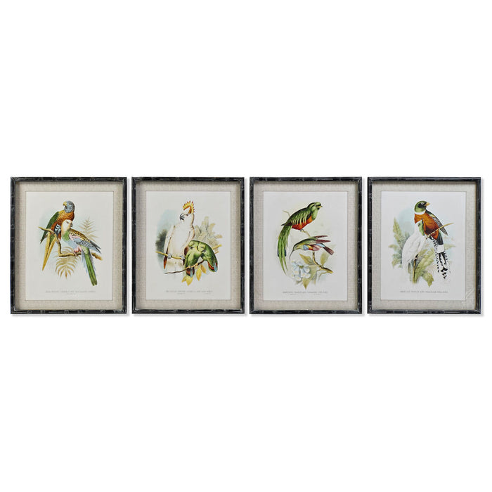 Tablou DKD Home Decor 50 x 2 x 60 cm Păsări Modern (4 Piese)