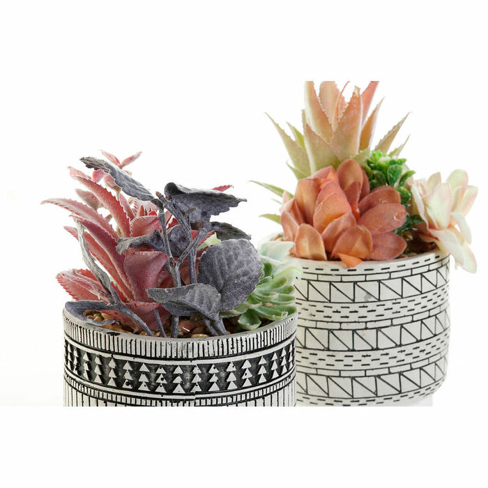 Plantă decorativă DKD Home Decor Cactus Rășină Polietilenă 11 x 11 x 21 cm (2 Unități)