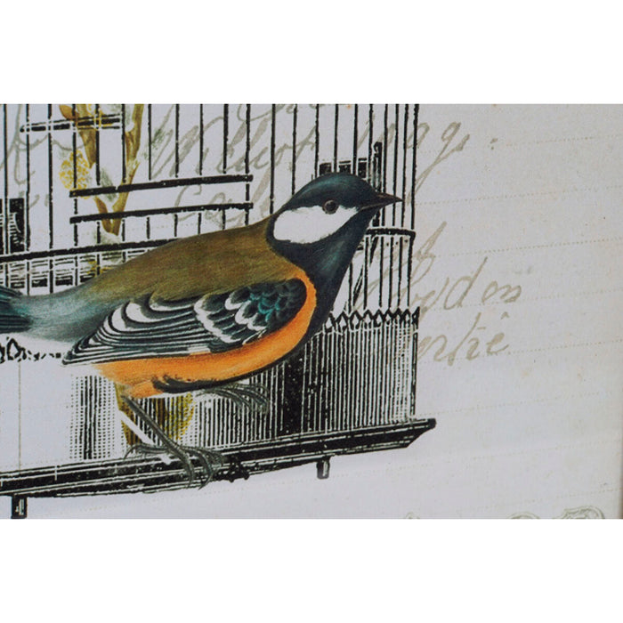 Tablou DKD Home Decor 34 x 2 x 44 cm Cuşcă Shabby Chic (4 Piese)