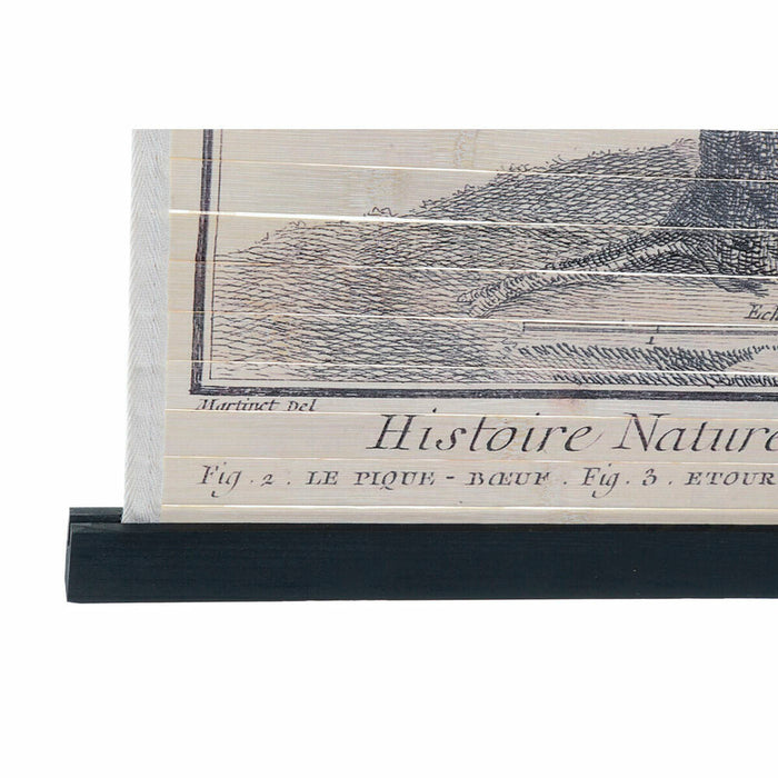 Pânză DKD Home Decor Păsări 60 x 2 x 90 cm Cottage (4 Piese)