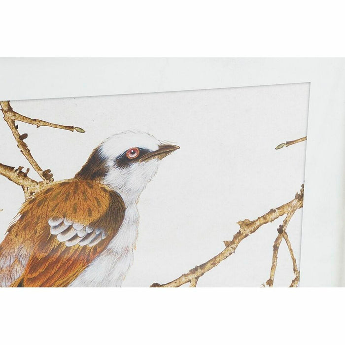 Tablou DKD Home Decor Pasăre Shabby Chic 60 x 2,5 x 60 cm (4 Unități)
