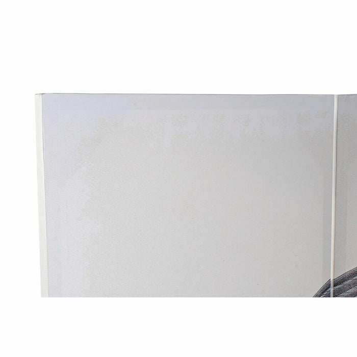 Paravan pliant DKD Home Decor Pin Pânză 120 x 2,5 x 180 cm