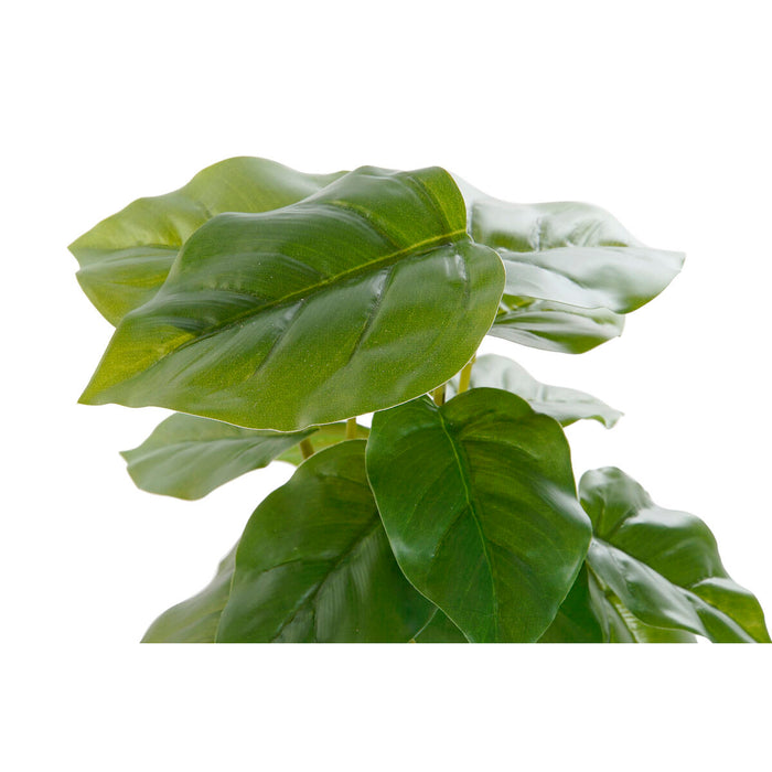 Plantă decorativă DKD Home Decor PVC polipropilenă 20 x 20 x 30 cm