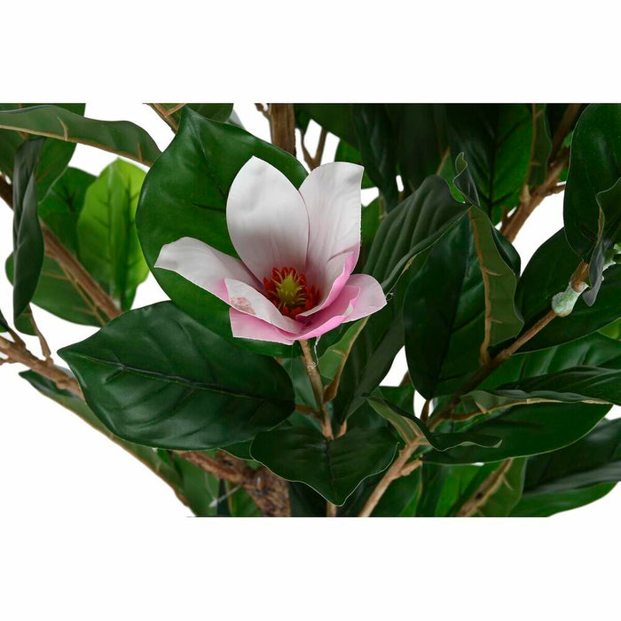 Plantă decorativă DKD Home Decor Roz Verde PE (60 x 60 x 125 cm)