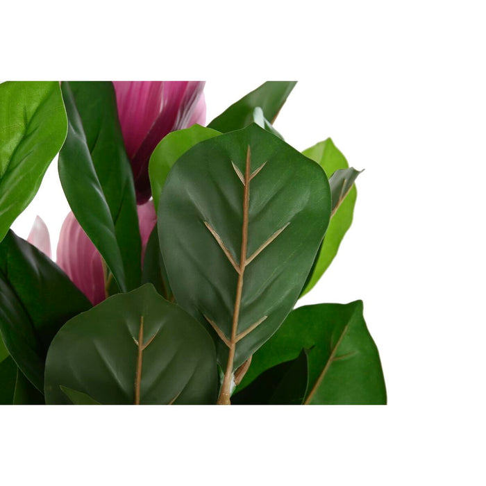 Plantă decorativă DKD Home Decor Roz Verde PE (60 x 60 x 125 cm)