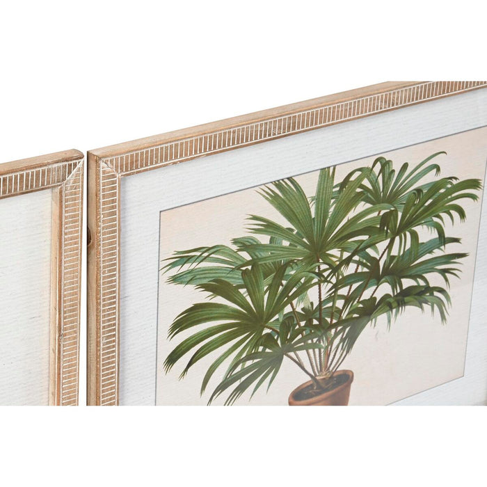 Tablou DKD Home Decor 65 x 2 x 50 cm Palmieri Tropical (4 Piese)