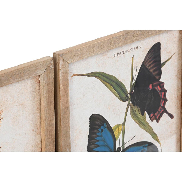 Tablou DKD Home Decor Fluturi 40 x 2 x 50 cm Shabby Chic (4 Piese)