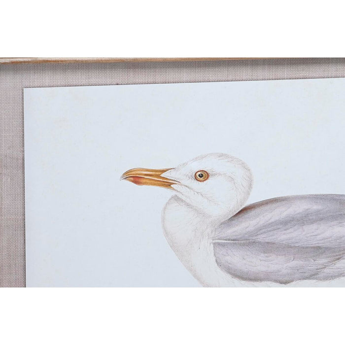 Tablou DKD Home Decor 70 x 2,5 x 50 cm Tradiţional Păsări (6 Piese)