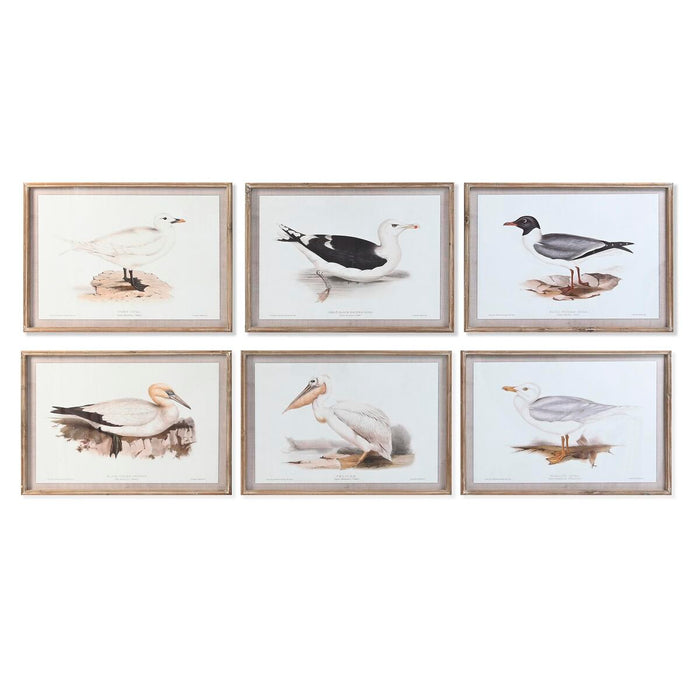 Tablou DKD Home Decor 70 x 2,5 x 50 cm Tradiţional Păsări (6 Piese)