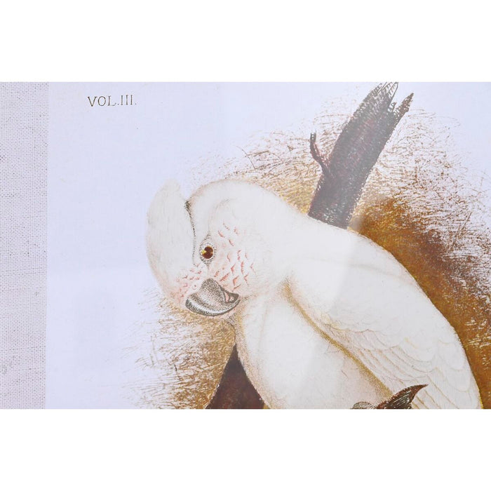 Pânză DKD Home Decor 50 x 2,8 x 65 cm 50 x 65 x 2.8 cm Papagal Cottage (4 Piese)