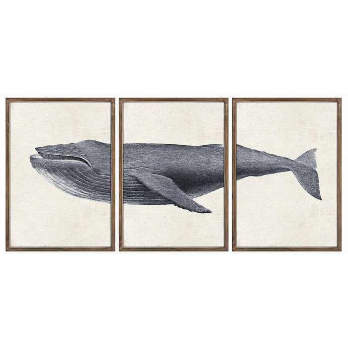 Set de 3 tablouri DKD Home Decor 150 x 2 x 70 cm Balenă