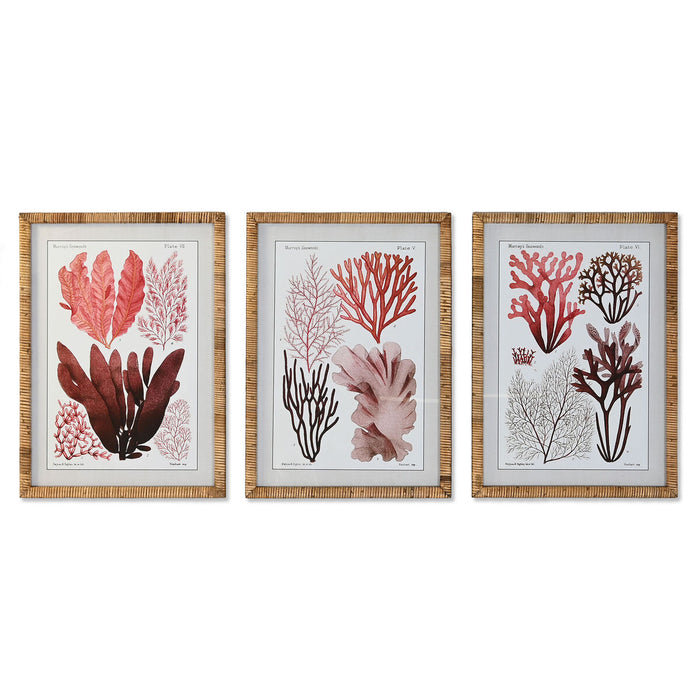 Tablou DKD Home Decor 50 x 2.5 x 70 cm 50 x 2,5 x 70 cm Mediterană (3 Piese)