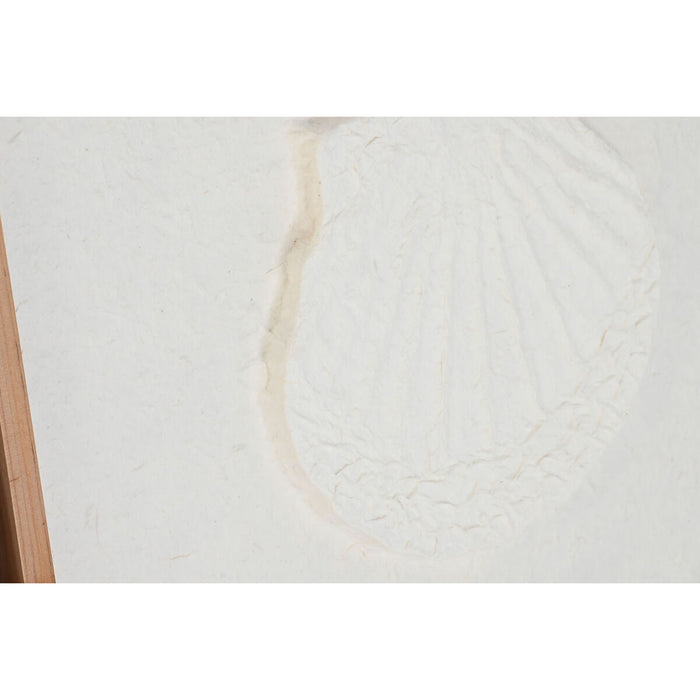 Tablou DKD Home Decor Scoici 50 x 2 x 50 cm Mediterană (6 Piese)