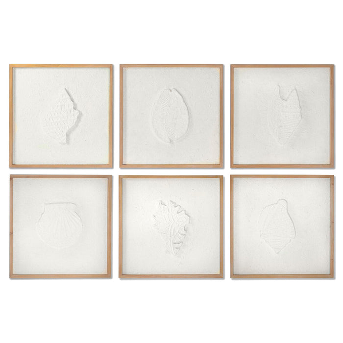 Tablou DKD Home Decor Scoici 50 x 2 x 50 cm Mediterană (6 Piese)