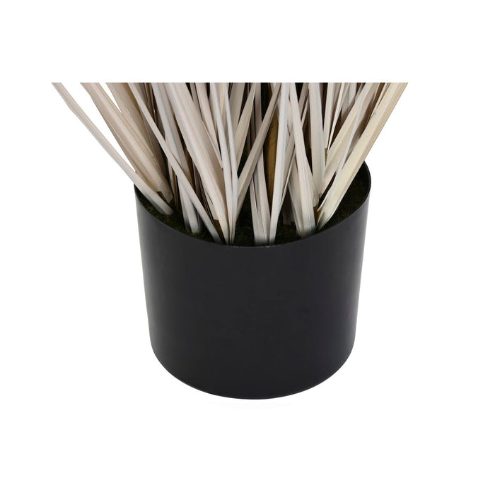 Plantă decorativă DKD Home Decor Pompoane (45 x 45 x 150 cm)